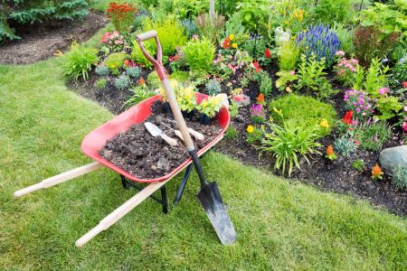 Soil analysis benefits