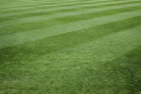 Evans lawn care