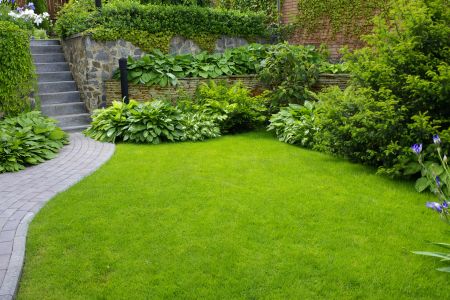 Grovetown lawn care