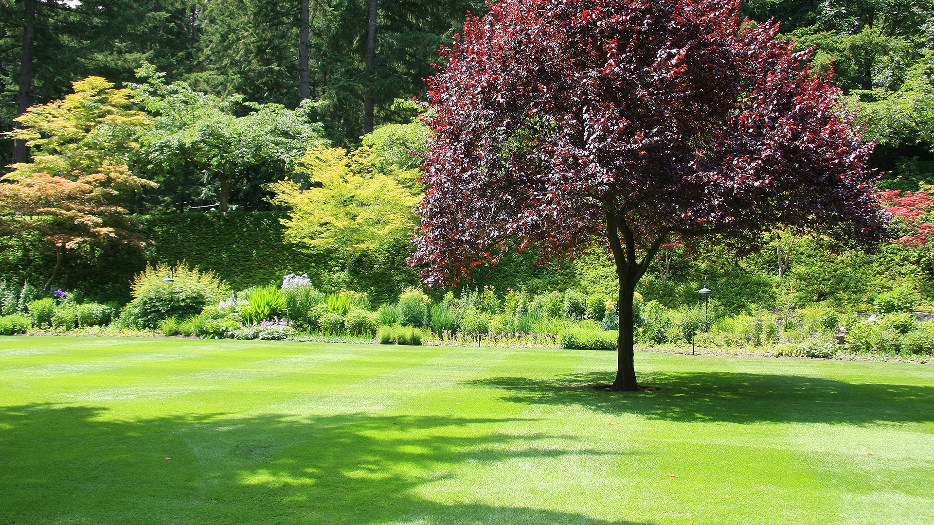 lawn care
