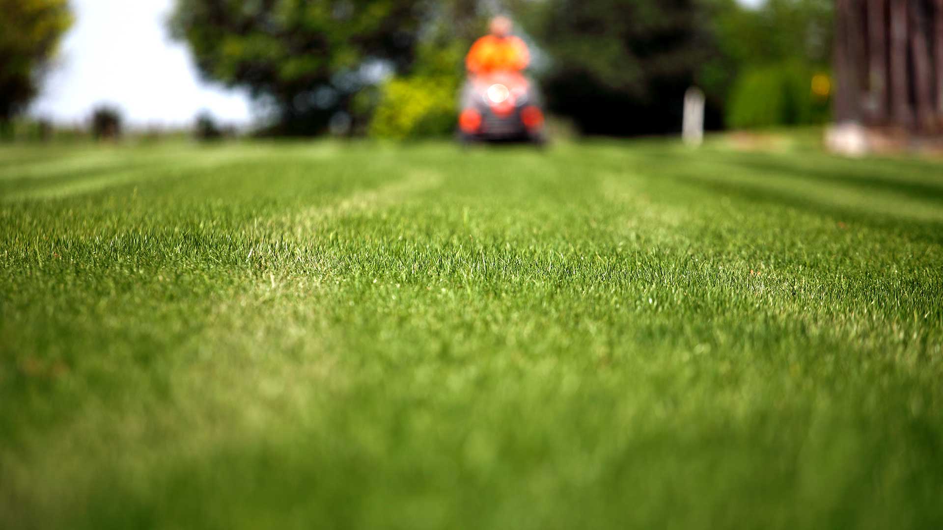 weed control