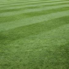 Commercial Lawn Care thumbnail